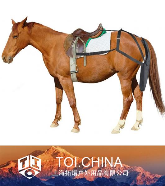 Bolsa de orina equina, Bolsa de estiércol equino